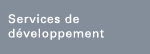 Development services